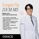그레이스 고양이 병원 | 서울 압구정 청담에 위치한 프리미엄 동물병원 추천 그레이스 고양이병원 방문 및 건강검진 상담후기