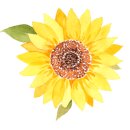 소답동114 이미지