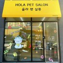 올라펫살롱 이미지