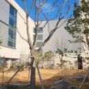 주막가정식백반 이미지