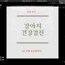 엘동물병원 네이버블로그