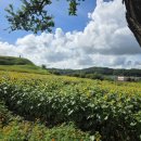 연천호로고루 이미지