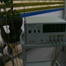 신진 전위 이미지