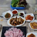 둥구민박 이미지