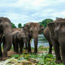 말리카센터 이미지