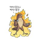 네모칸 이미지