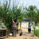 여름농장 이미지