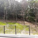 그린마크로 이미지