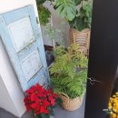보태니컬 플랜(Botanical Plan) 이미지