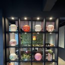 느티나무유치원 | 온천천 맛집 소림대풍 동래점 간짜장 짬뽕 탕수육 후기