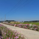 남포마을(지평선) 이미지