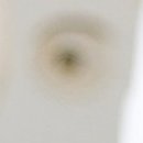 양정한의원 이미지