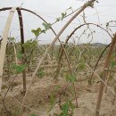 한열농장 이미지