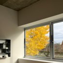 대학로(유성-2) 이미지