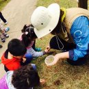 숲속키즈어린이집 이미지