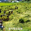 남양주 1165 경기북도일보