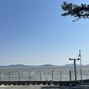 인천강화바다정원가족오션뷰펜션 | 전객실 오션뷰 인천 감성숙소 루나솔베이 펜션 후기 🌙☀️🌊