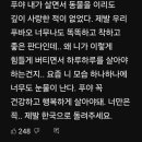 푸바오애견 - 동구 계족로469번길 4 | 푸바오애견
