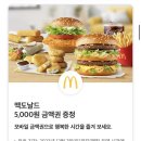댕이 데이 이미지