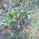 길정농장 이미지