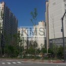 디자인시티블루밍 이미지