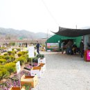 운동장길(정하동) 이미지