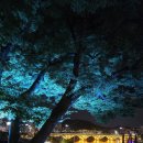 진주성 - 창원시 마산합포구 | 진주성