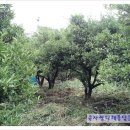 청용농장 이미지