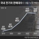(주)이즈모터스 | 전기차 시장이 캐즘(?)에 빠졌다