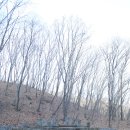 보만정지 이미지