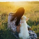 (주)에듀펫 이미지