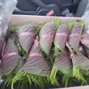 대성소프트 이미지