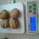 여주-0486 이미지