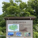 내수전 전망대 | 울릉도 가족여행 내수전 일출전망대 방문 후기