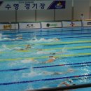 목포실내체육관 실내수영장 이미지