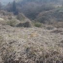 남해-255 이미지