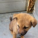 운산2리마을회관 이미지