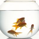 에코플러스치과의원 이미지