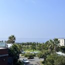 창해물회 식당 | 3박 4일 제주제주🏝️