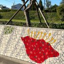 달서천로 이미지