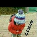 술타령