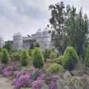 상향농장 이미지