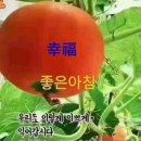 은빛초등 이미지