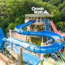 비발디파크오션월드 이미지