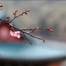 엄마사랑 이미지