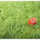 동덕여자대학교 비만미용향장대학원 이미지