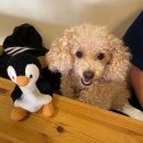 더블루 베이커리 이미지