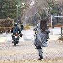 바다청과 이미지