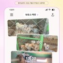 📢2026 함안길천사 여름 단기 임보 프로젝트☀️🐶 이미지