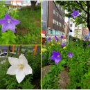 묵정어린이공원 이미지